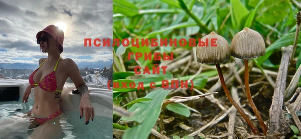 мяу мяу мука Абинск